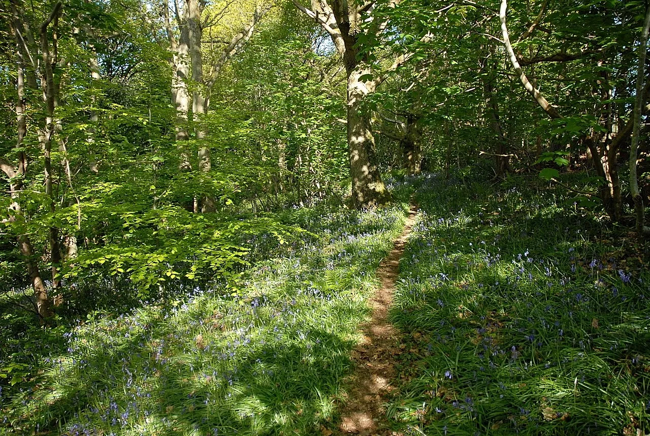 Llanfyllin, Powys, photo 23