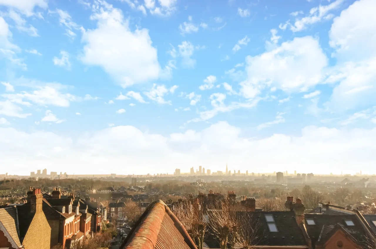 Mount View Road, Crouch End, N4, photo 8