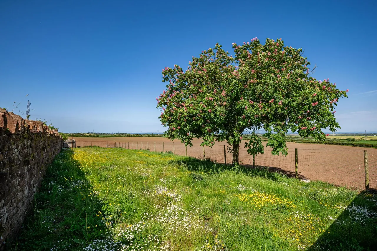 Castlemont, Aspatria, CA7, photo 52