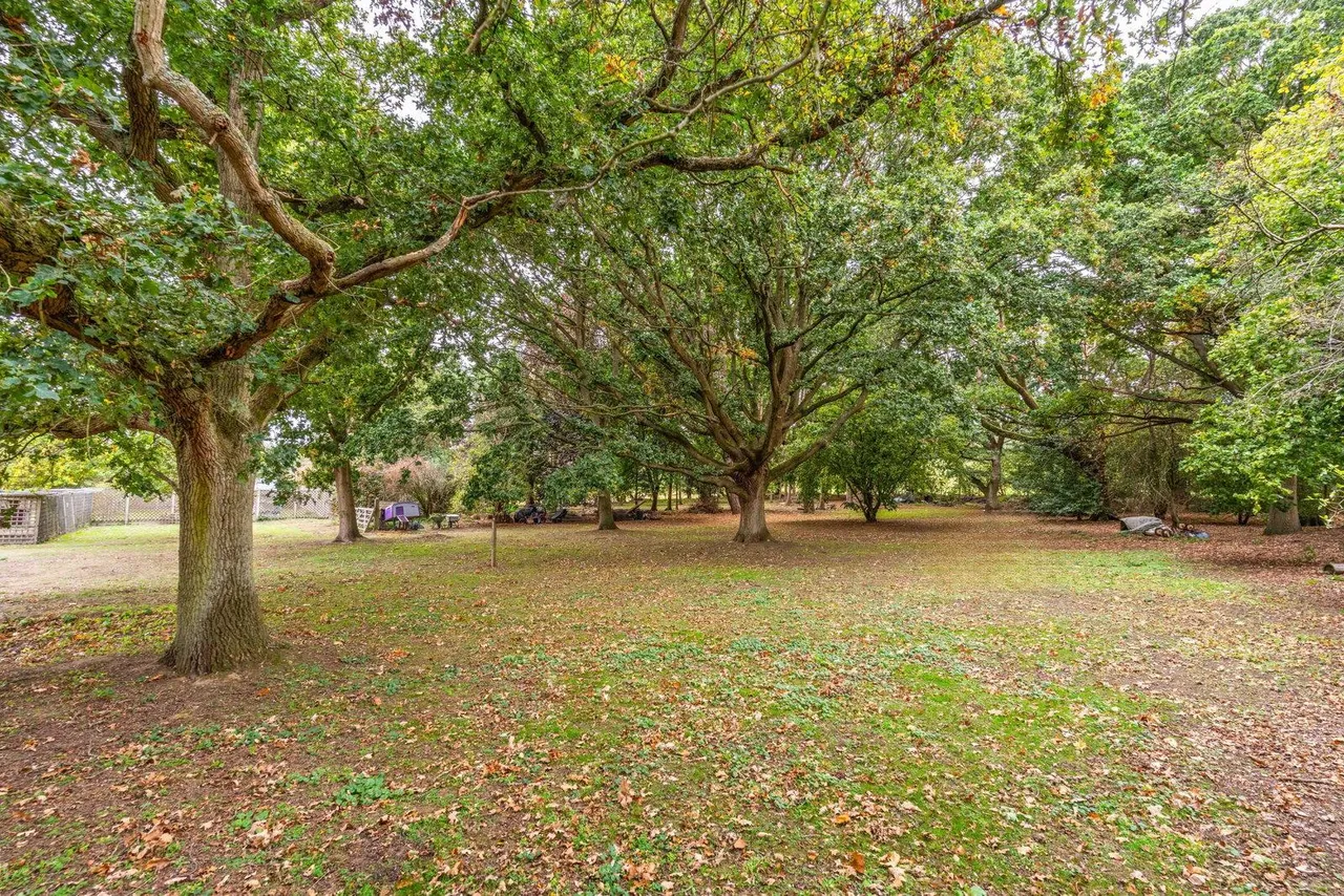 'Halfway House' Little Hadham, SG11, photo 41