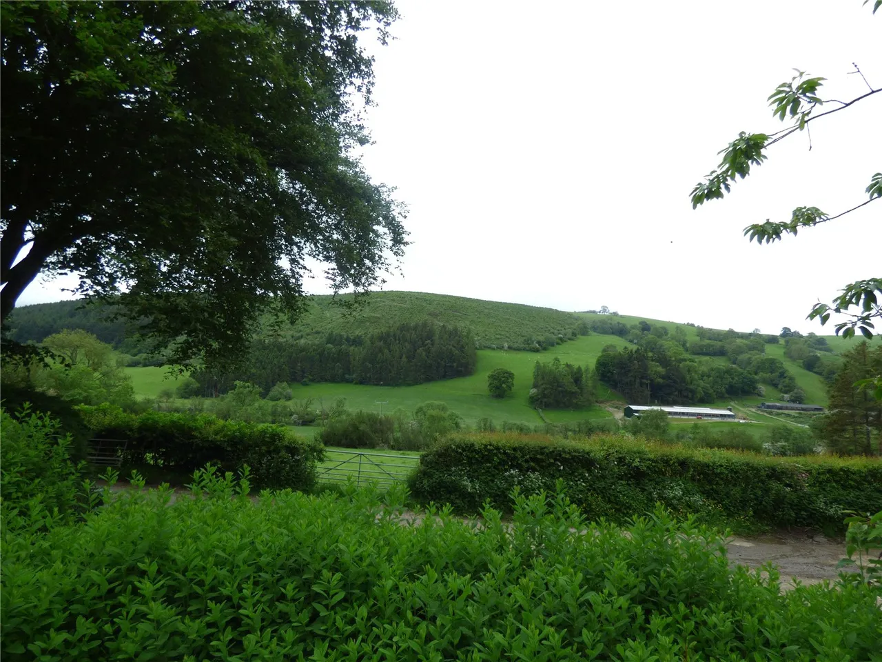 Llangunllo, Knighton, Powys, LD7 1SL, photo 13