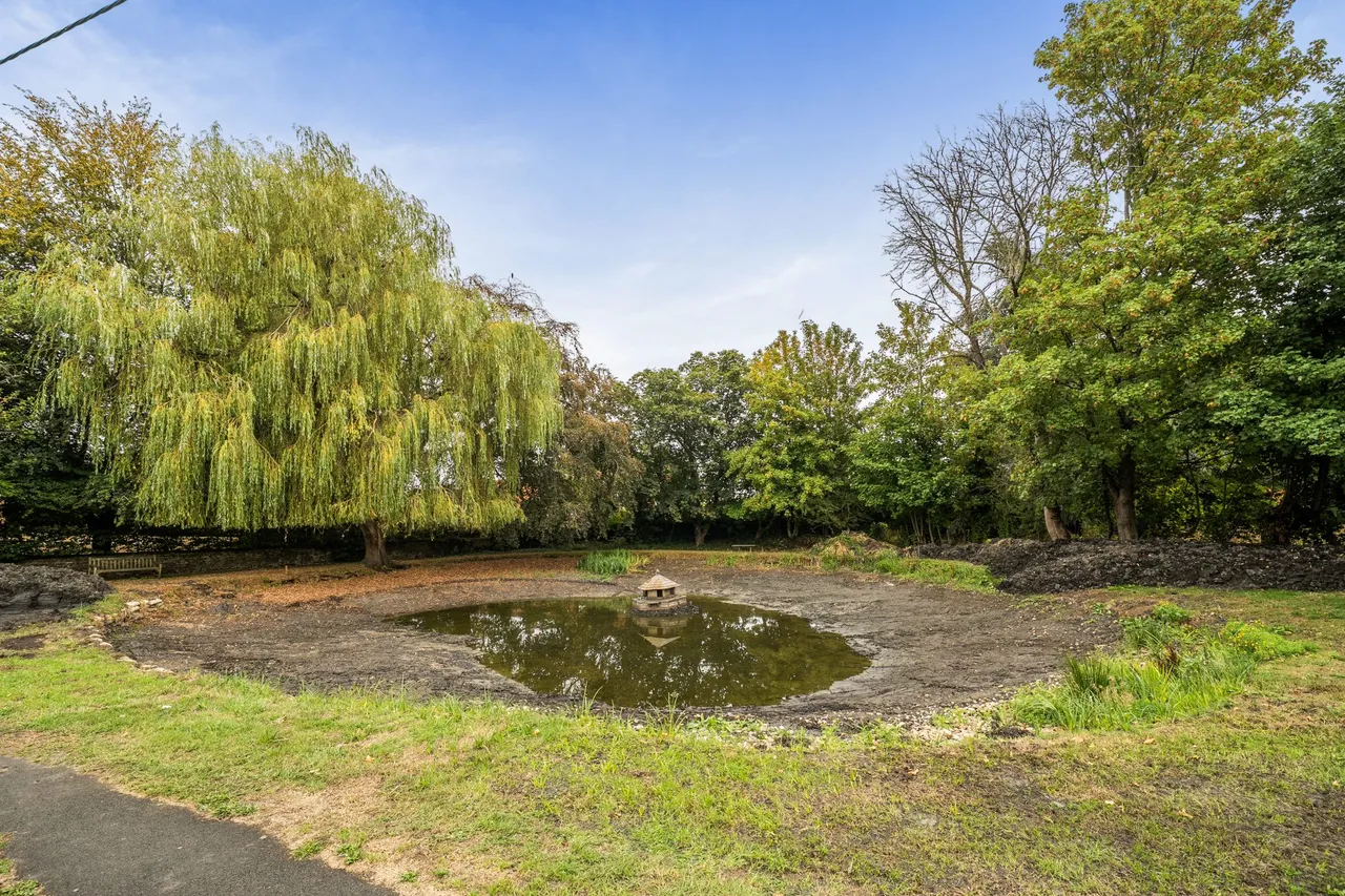 Pond Cottage The Street, Long Sutton, Hook, RG29 1ST, photo 19