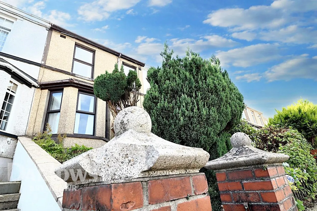 Ashvale, Tredegar, photo 3