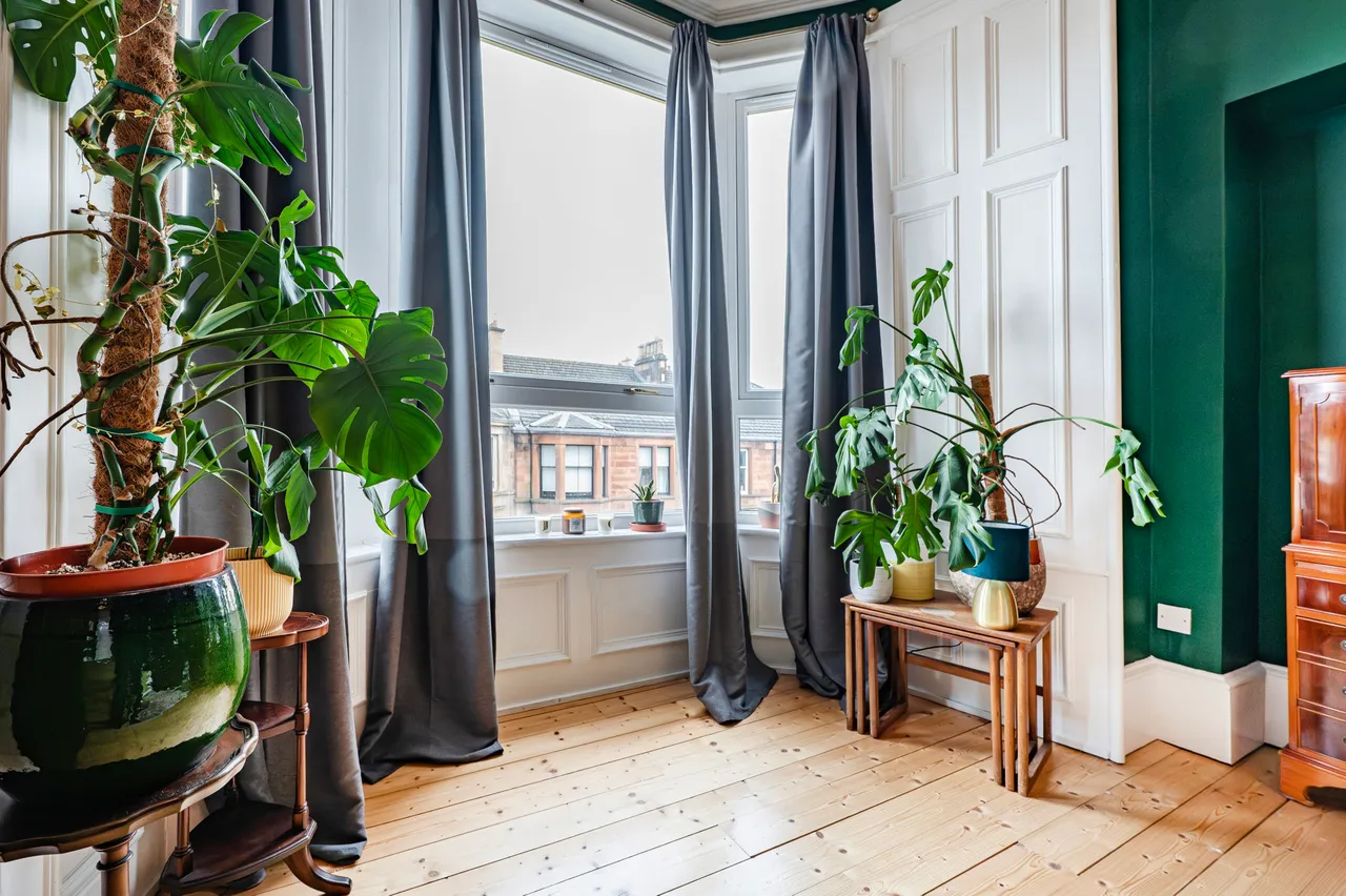 Finlay Drive, Dennistoun, G31, photo 5