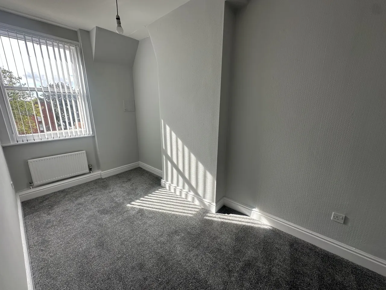 Princes Ave, L8, photo 6