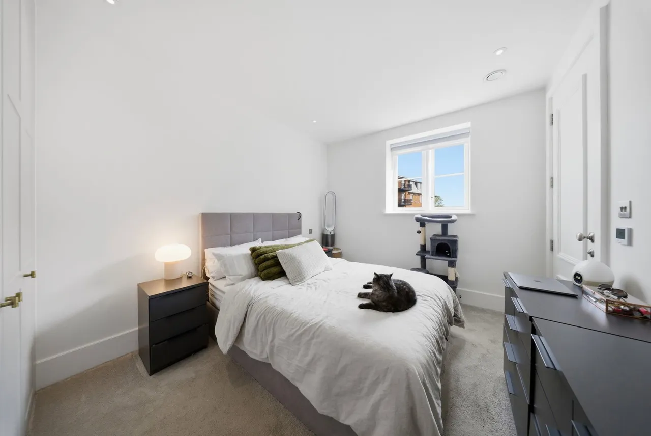 Sassoon Drive, Trent Park, EN4, photo 9