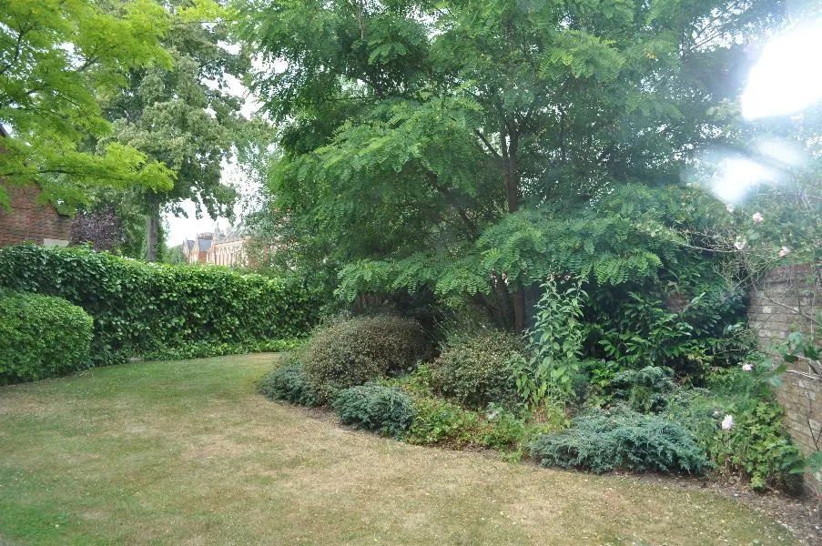 Virginia Water, GU25 4SW, photo 9