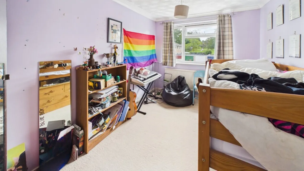 Huntingfield Road, Bury St Edmunds, IP33, photo 7