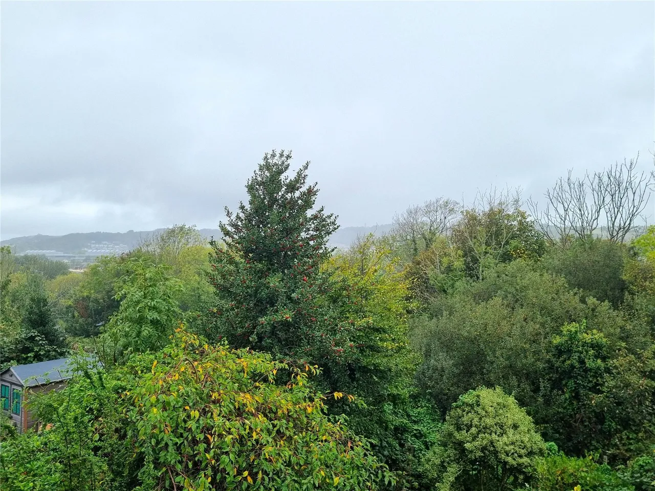Heol Tyn-y-Fron, Penparcau, SY23, photo 12