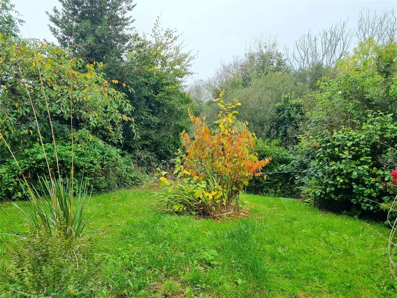 Heol Tyn-y-Fron, Penparcau, SY23, photo 21