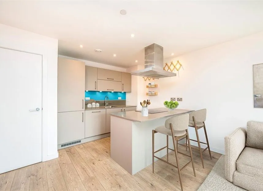 Rotherhithe New Road, New Cross, SE16, photo 12