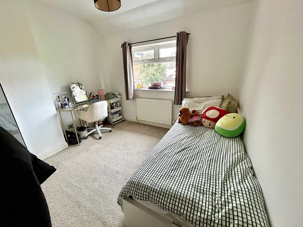 Tanfield Road, Manchester, photo 18