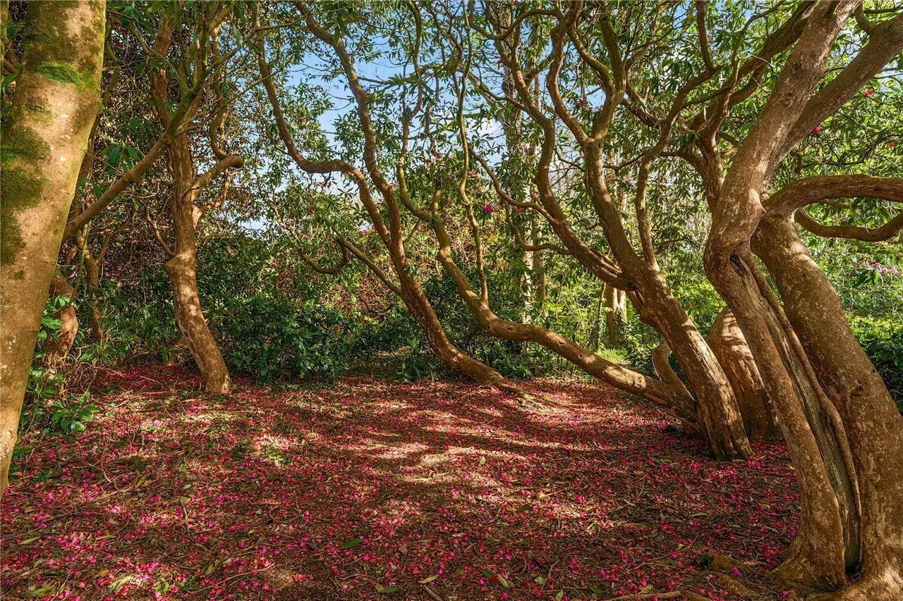 Holman Park, Camborne, TR14, photo 23