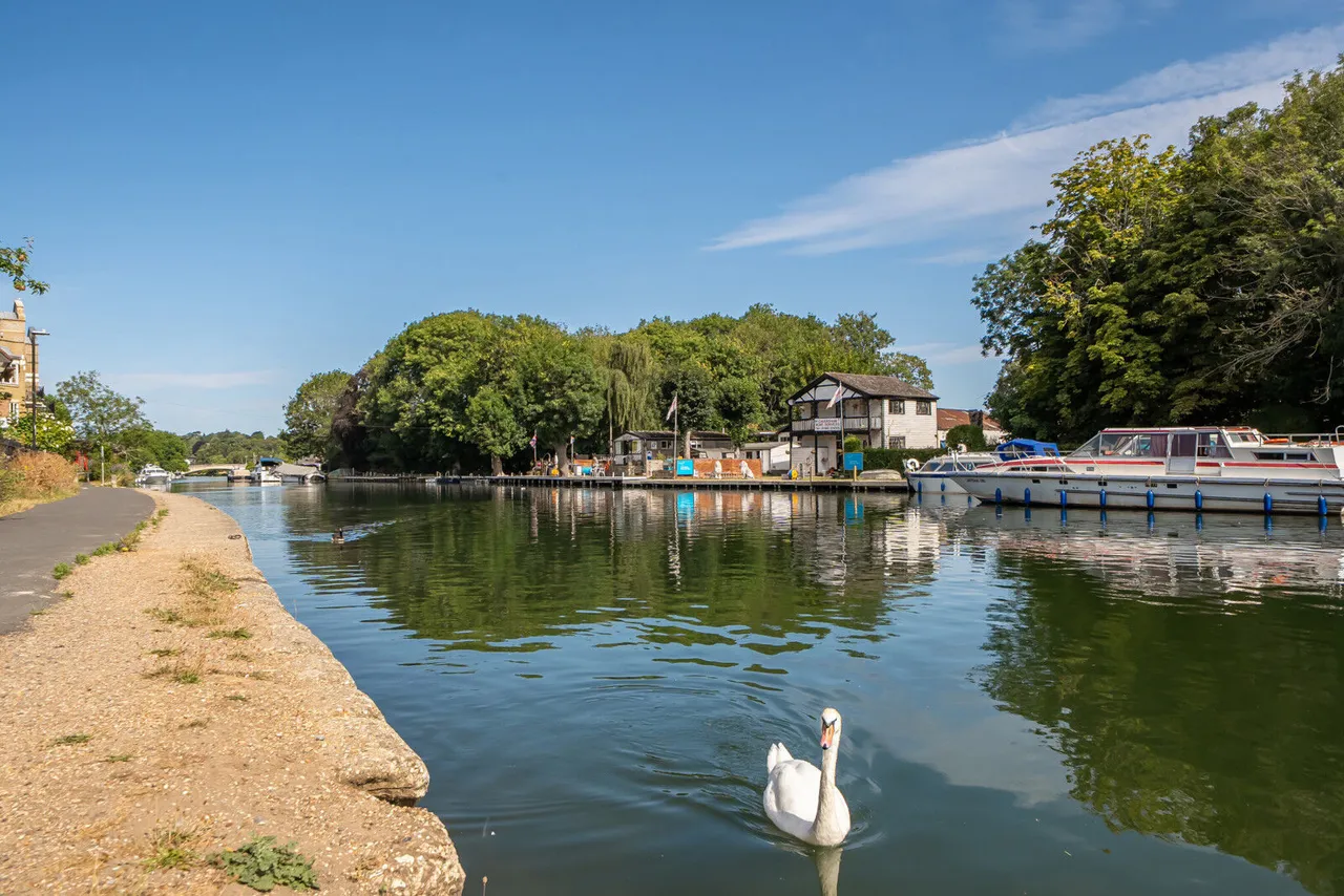 Lynmouth Road, Reading, RG1, photo 13