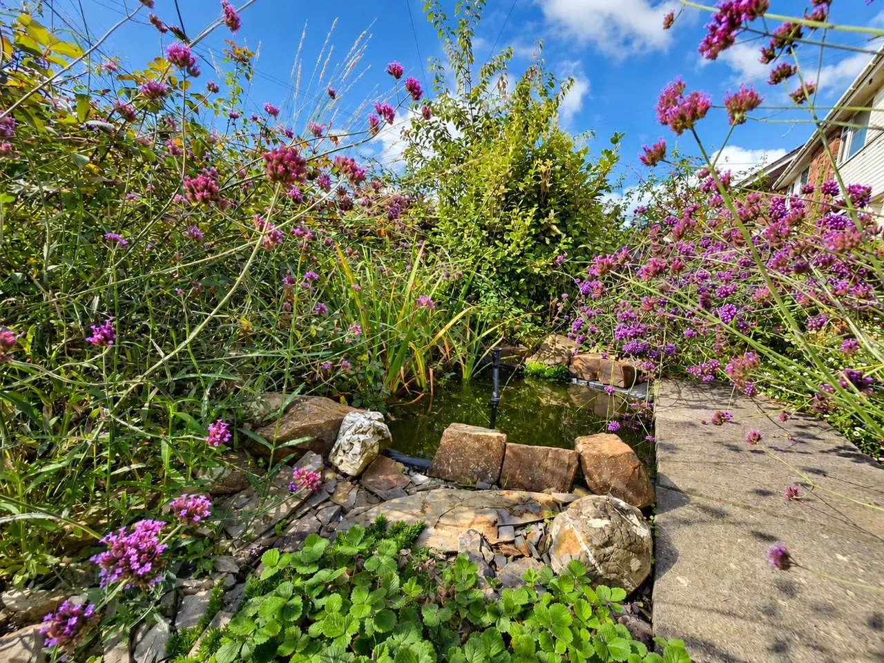 Shortlands, Pyworthy, EX22, photo 4