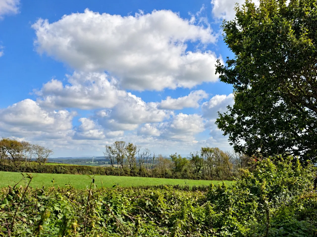 Shortlands, Pyworthy, EX22, photo 23