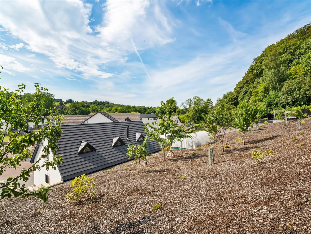 Mauldslie Castle Orchard, Rosebank, Carluke, ML8 5FJ, photo 52