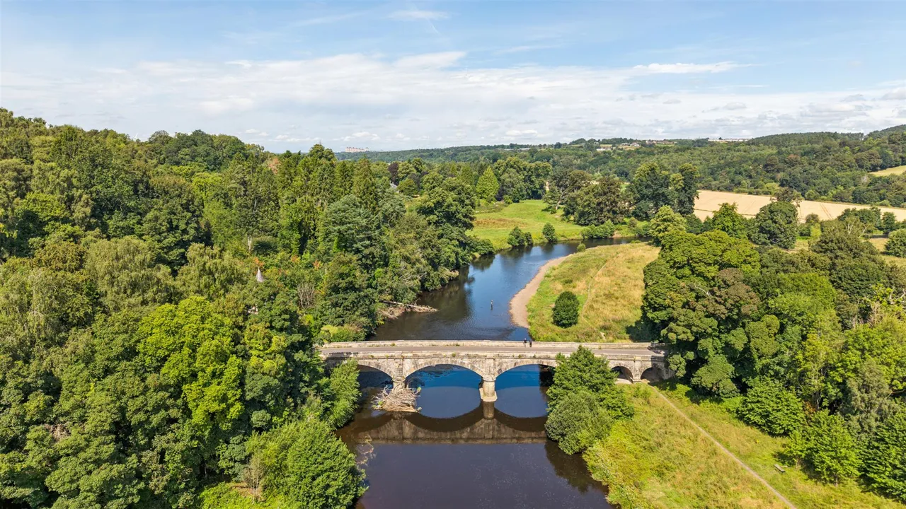 Mauldslie Castle Orchard, Rosebank, Carluke, ML8 5FJ, photo 56