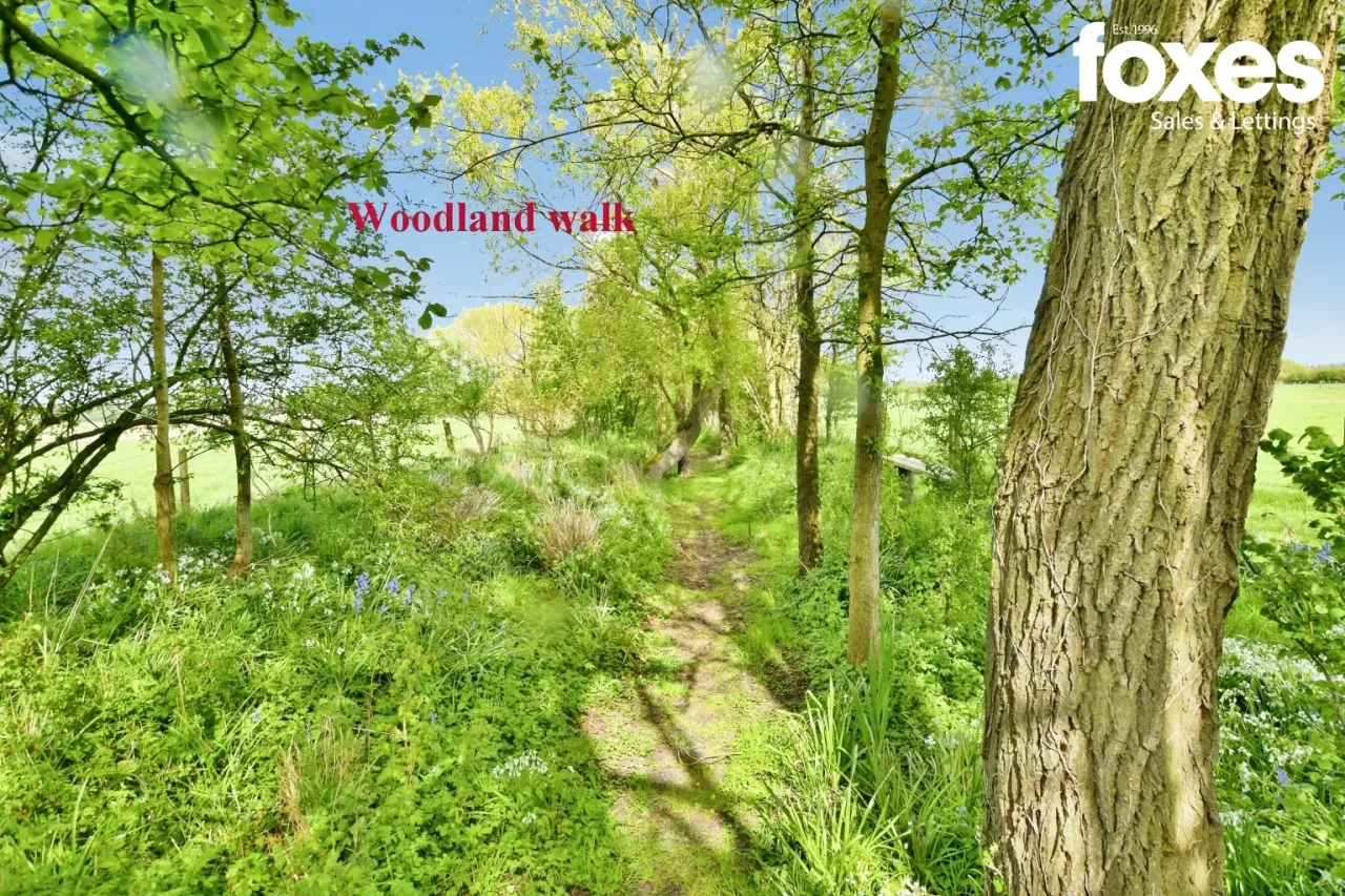 Knighton Lane, Wimborne, BH21, photo 14