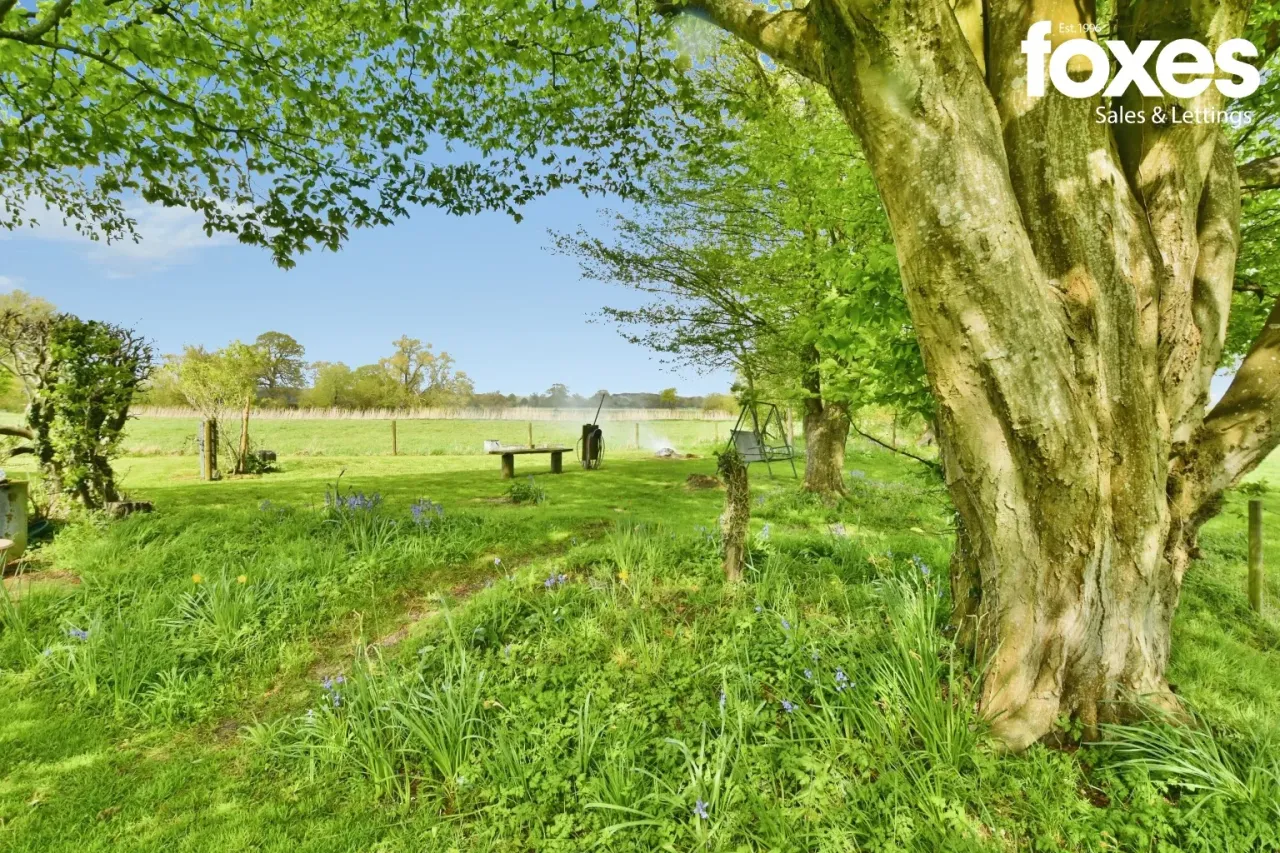 Knighton Lane, Wimborne, BH21, photo 22