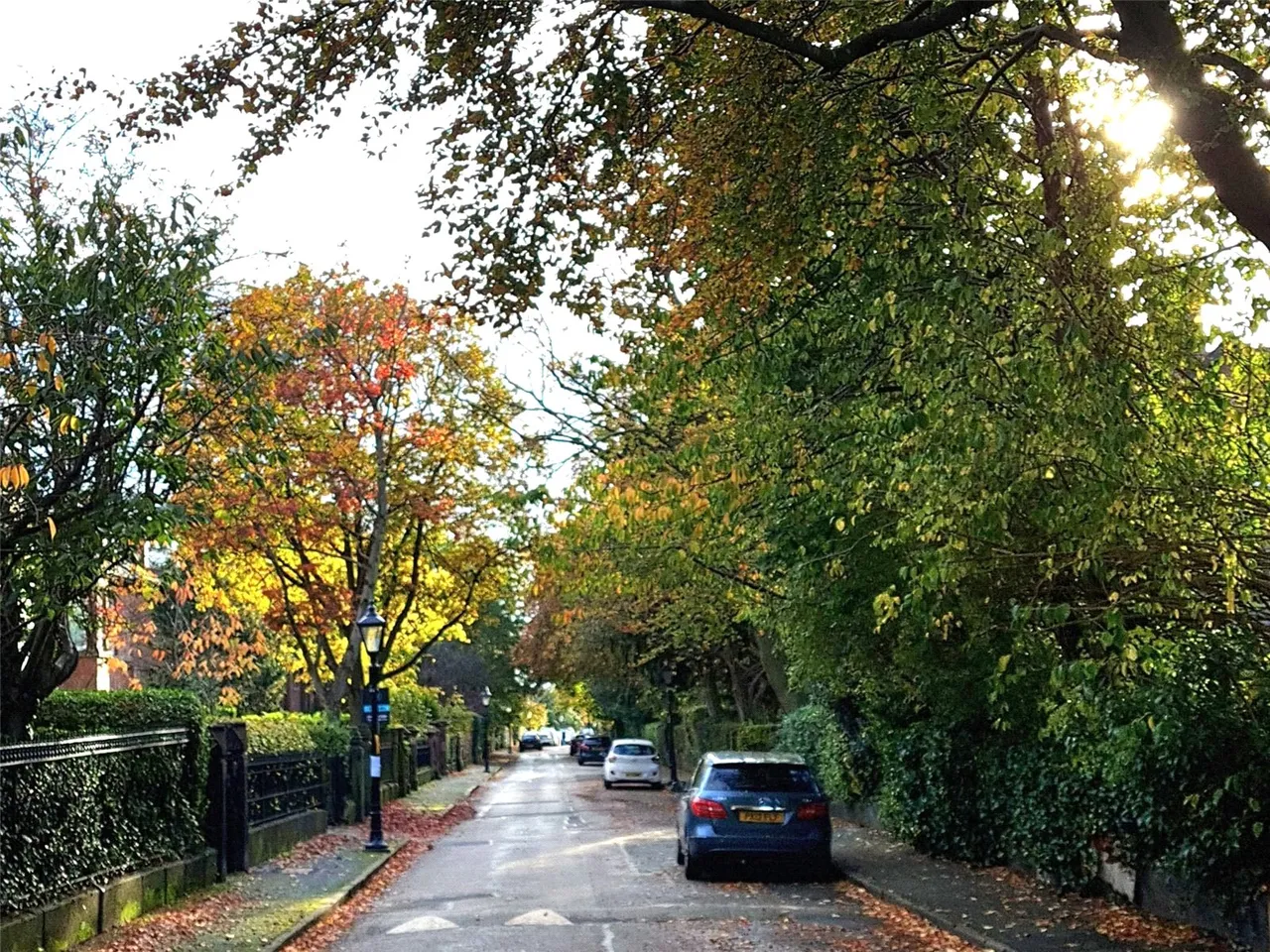 Salisbury Road, Cressington Park, L19, photo 41