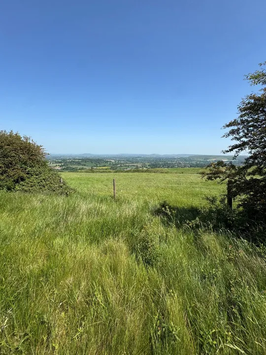 Plot 17, Land at Okeford Hill, Blandford Forum, Dorset, DT11 0EF, photo 5