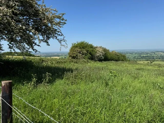 Plot 17, Land at Okeford Hill, Blandford Forum, Dorset, DT11 0EF, photo 3