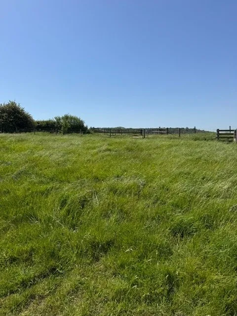 Plot 17, Land at Okeford Hill, Blandford Forum, Dorset, DT11 0EF, photo 4