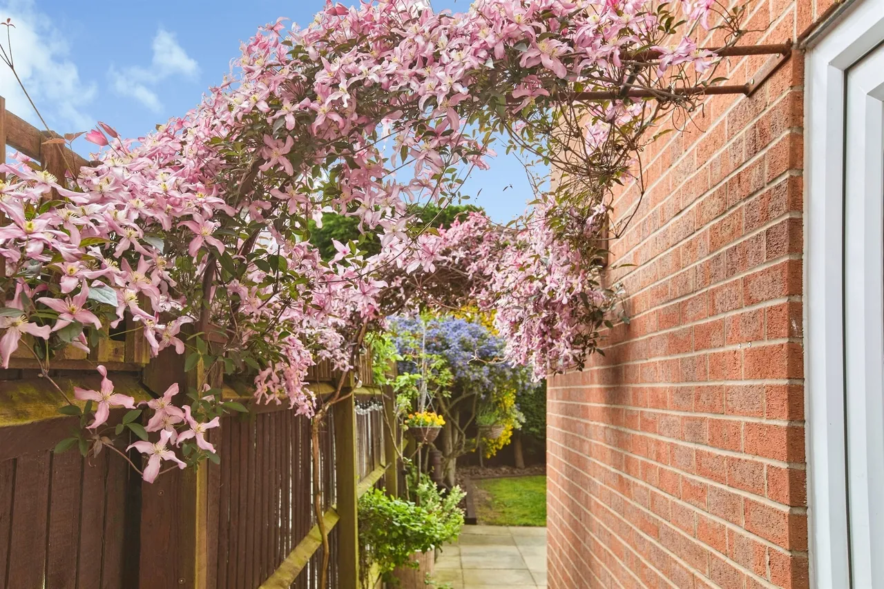 Cloisters Court, Oakwood, DERBY, photo 10