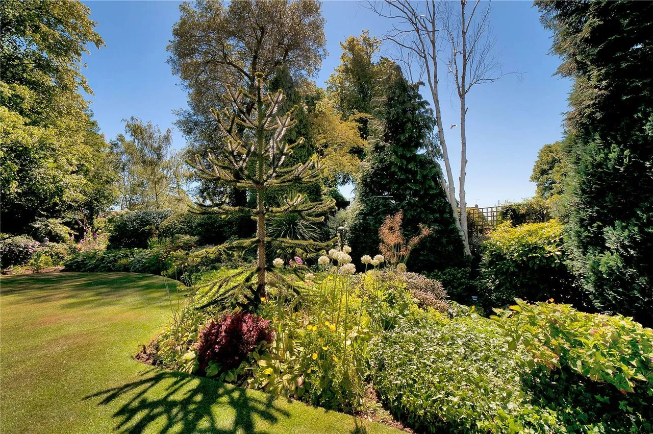 Heath Road, Maidstone, ME16, photo 23