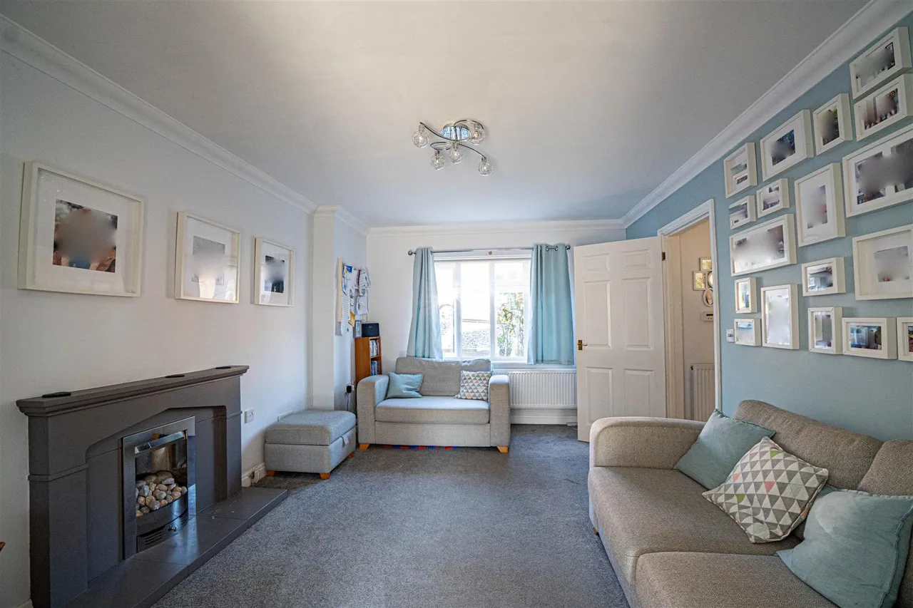 Newts Way, St. Leonards-On-Sea, photo 17
