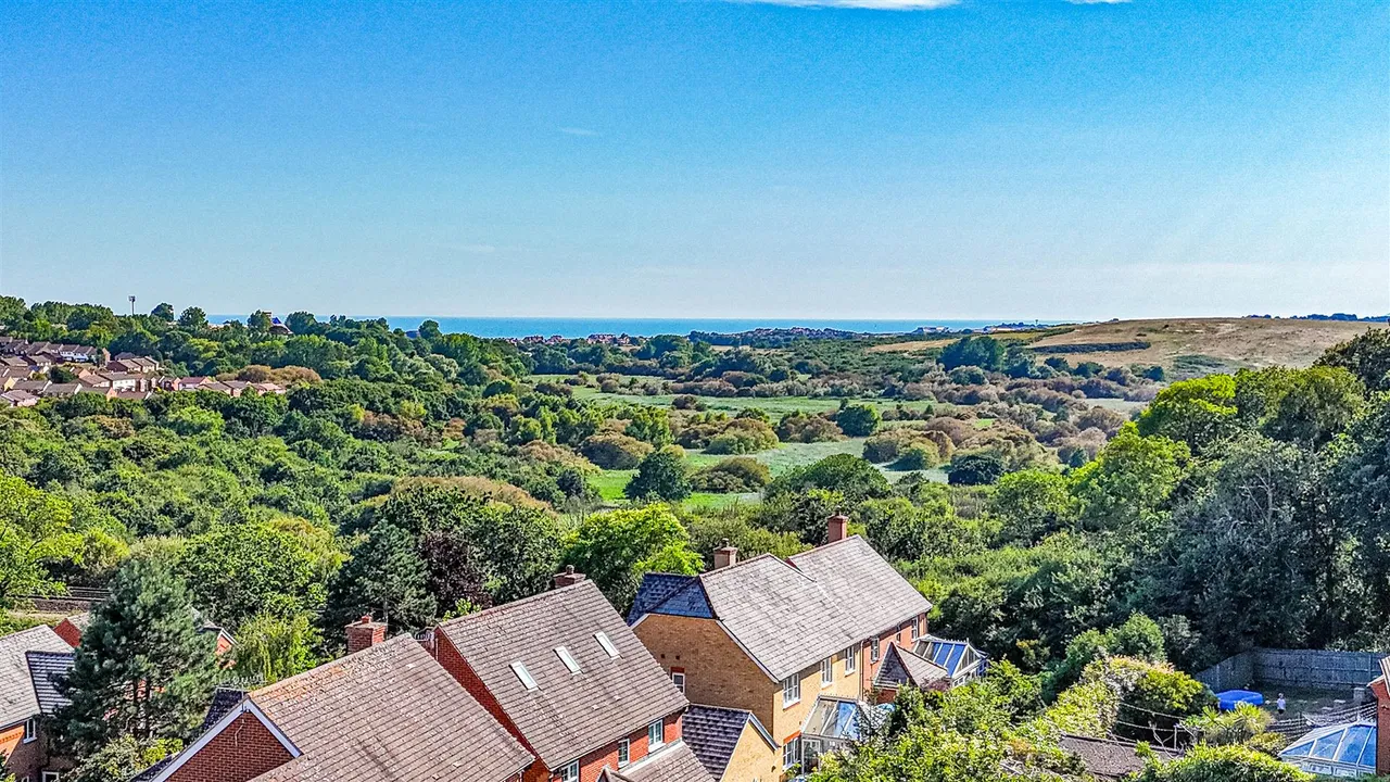 Newts Way, St. Leonards-On-Sea, photo 20