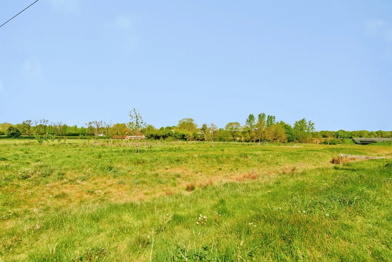 Hoadley Road, Horley, RH6, photo 13