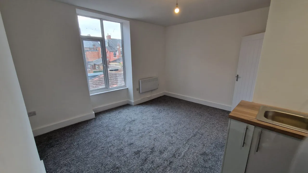 Egerton Street, Hendon, Sunderland, SR2, photo 5