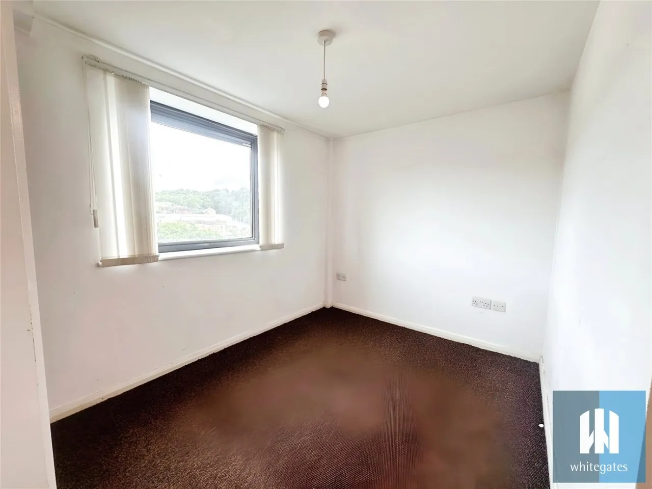 Birkhouse Lane, Paddock, HD4, photo 4