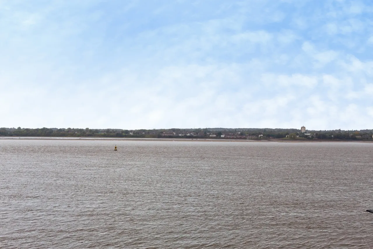 Armstrong Quay, Liverpool, L3, photo 19