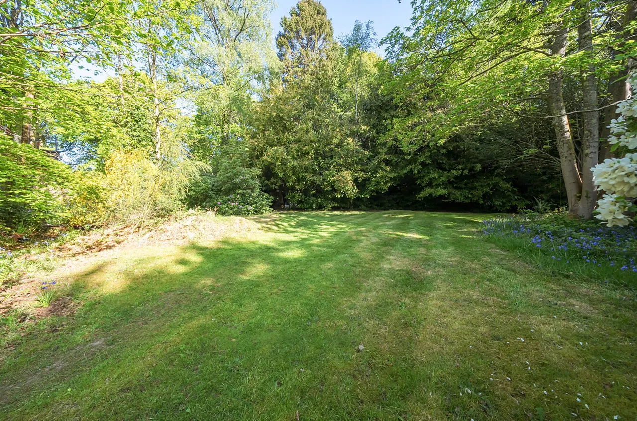Farnham Lane, Haslemere, GU27, photo 15