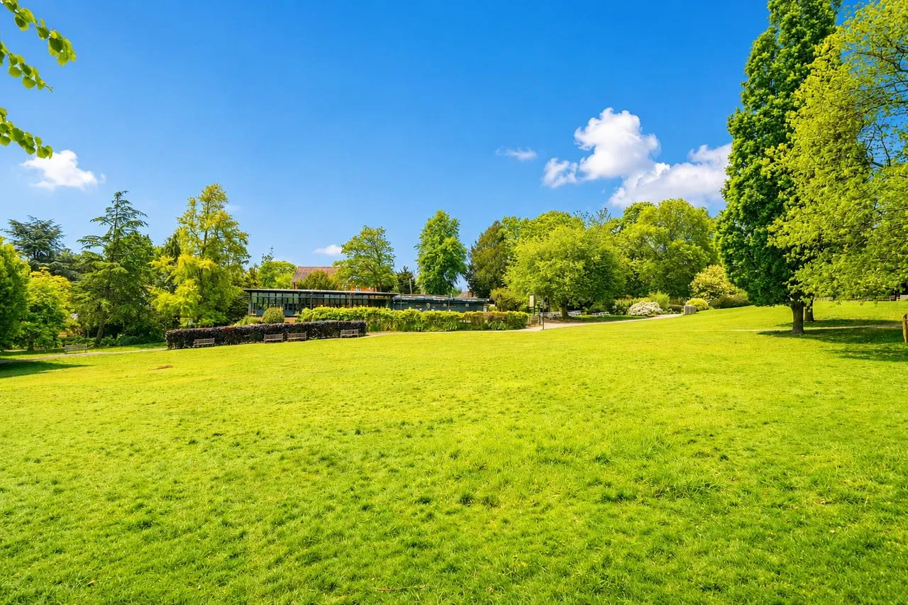 The Park, Golders Green, NW11, photo 8