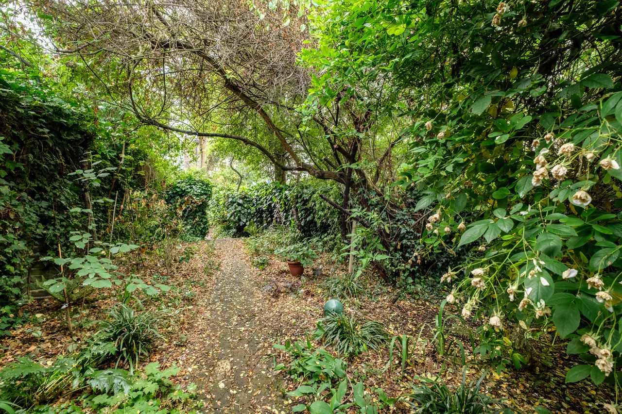 Canonbury Square, London, N1, photo 3