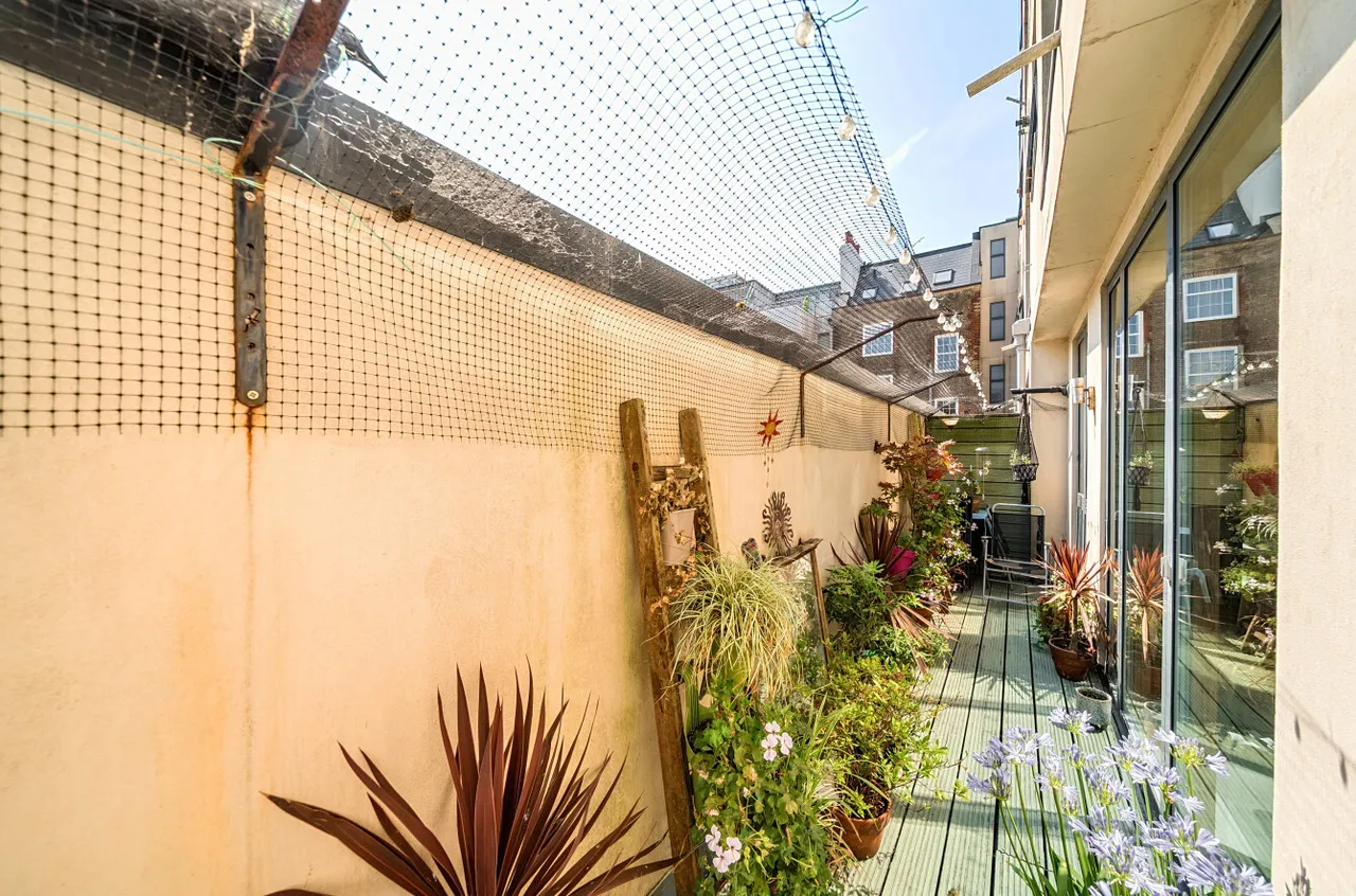 Dorset Gardens, Brighton, BN2, photo 9