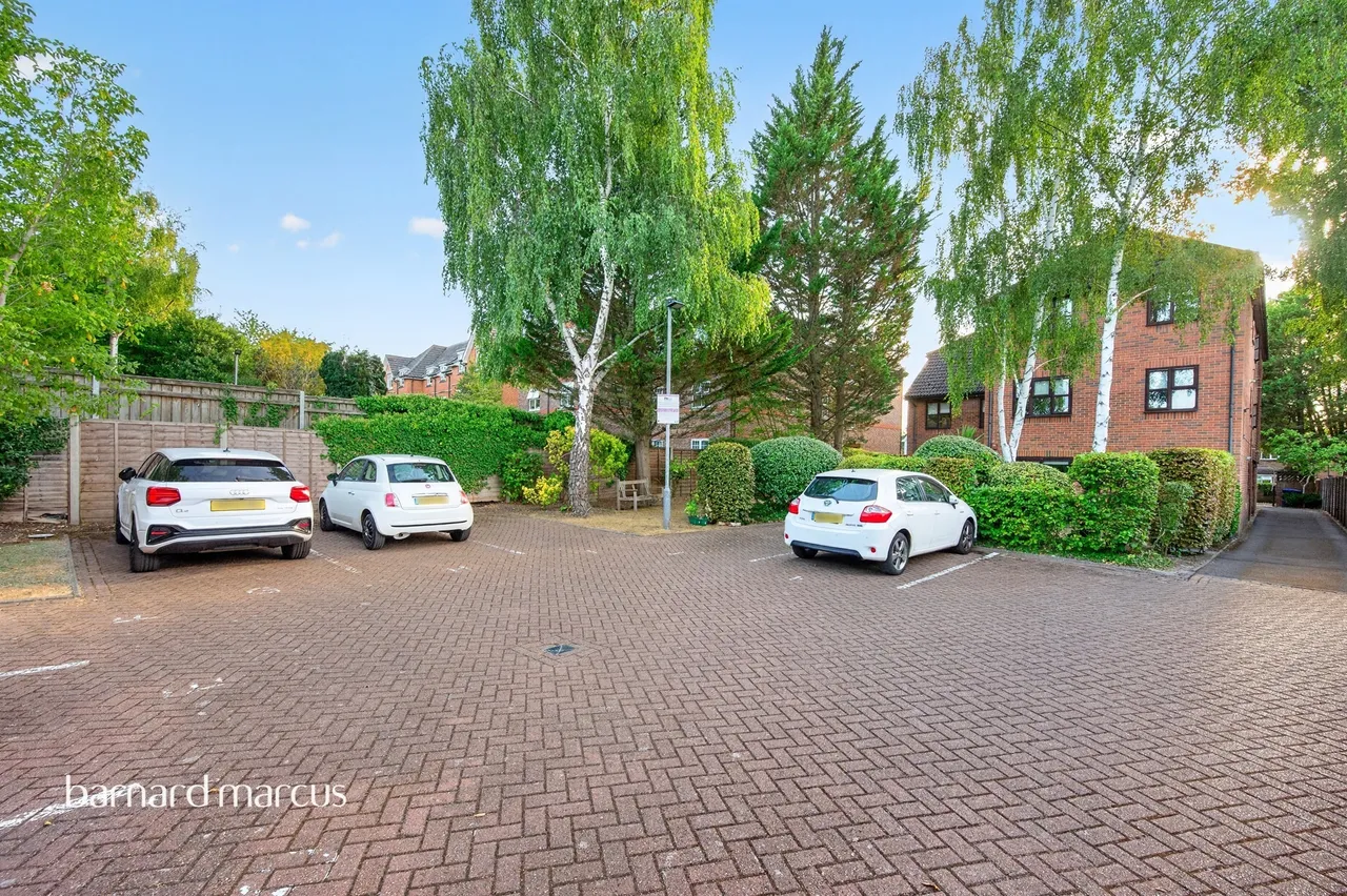 Albion Road, Sutton, photo 10
