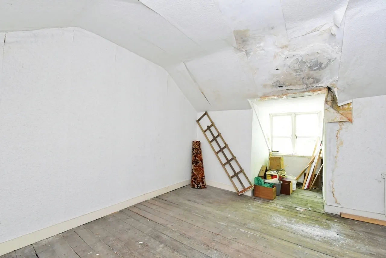 Western Road, Sheffield, South Yorkshire, S10, photo 13