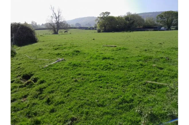 Erw Goch, Abergele, LL22, photo 14