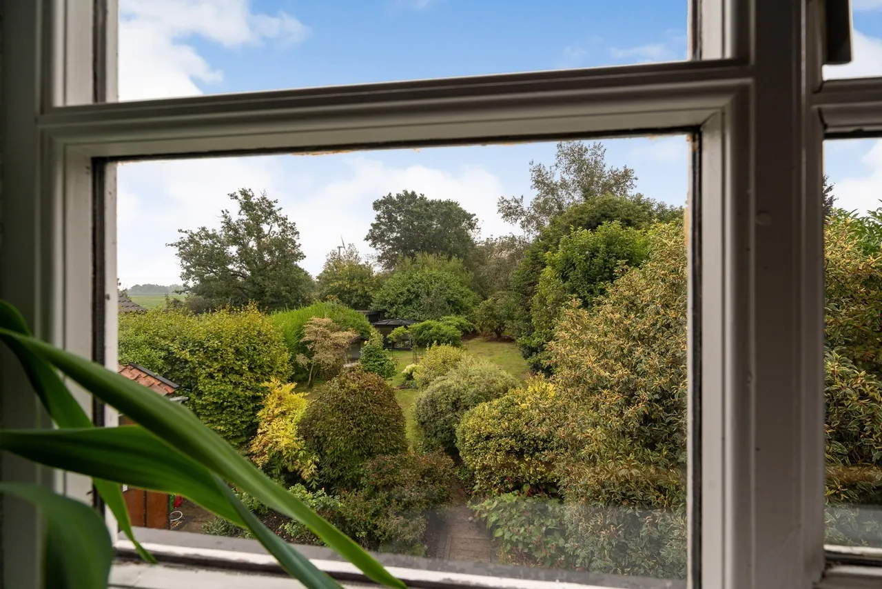Lows Lane, Palgrave, Diss, Norfolk, IP22, photo 18