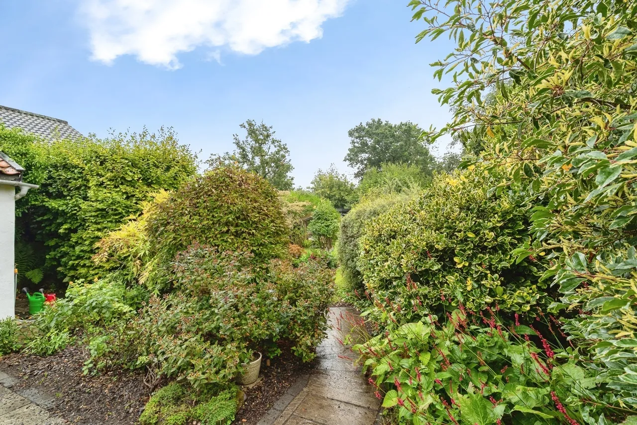 Lows Lane, Palgrave, Diss, Norfolk, IP22, photo 19