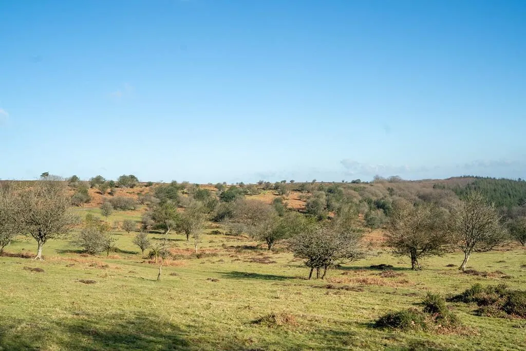 Luxton Way, Wiveliscombe, TA4, photo 6