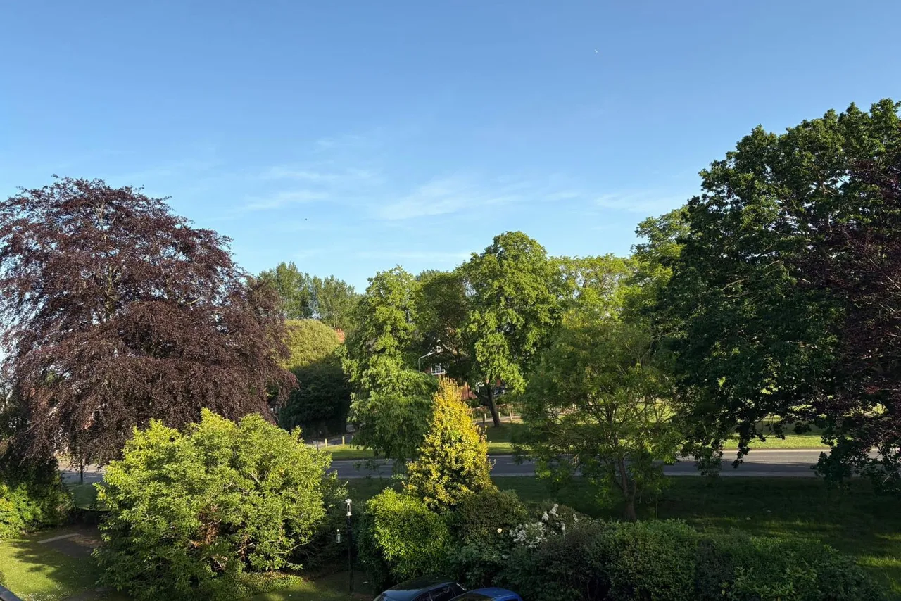 The Green, Sidcup, DA14 6DF, photo 8