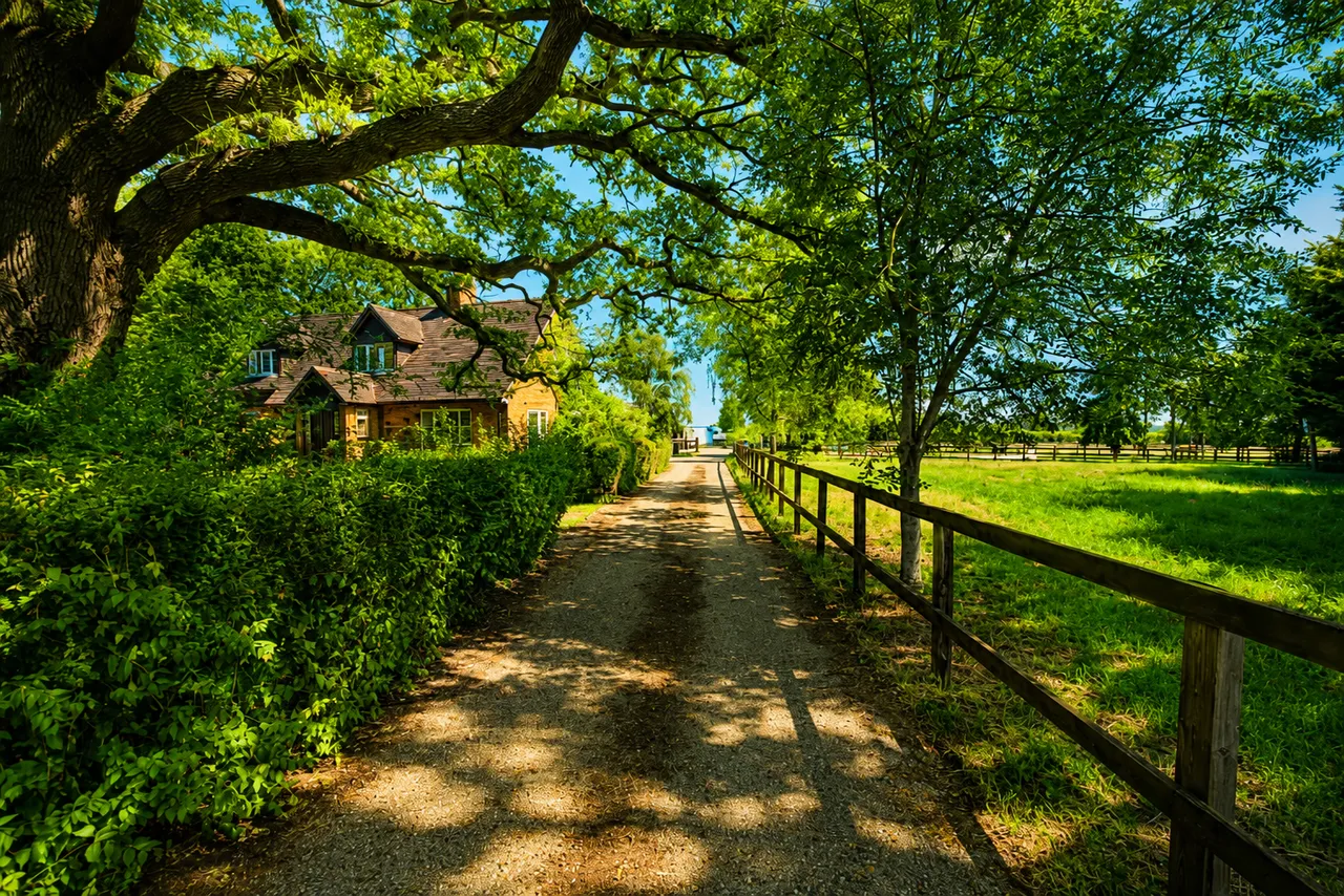 Bicknacre Road, Danbury, CM3, photo 8