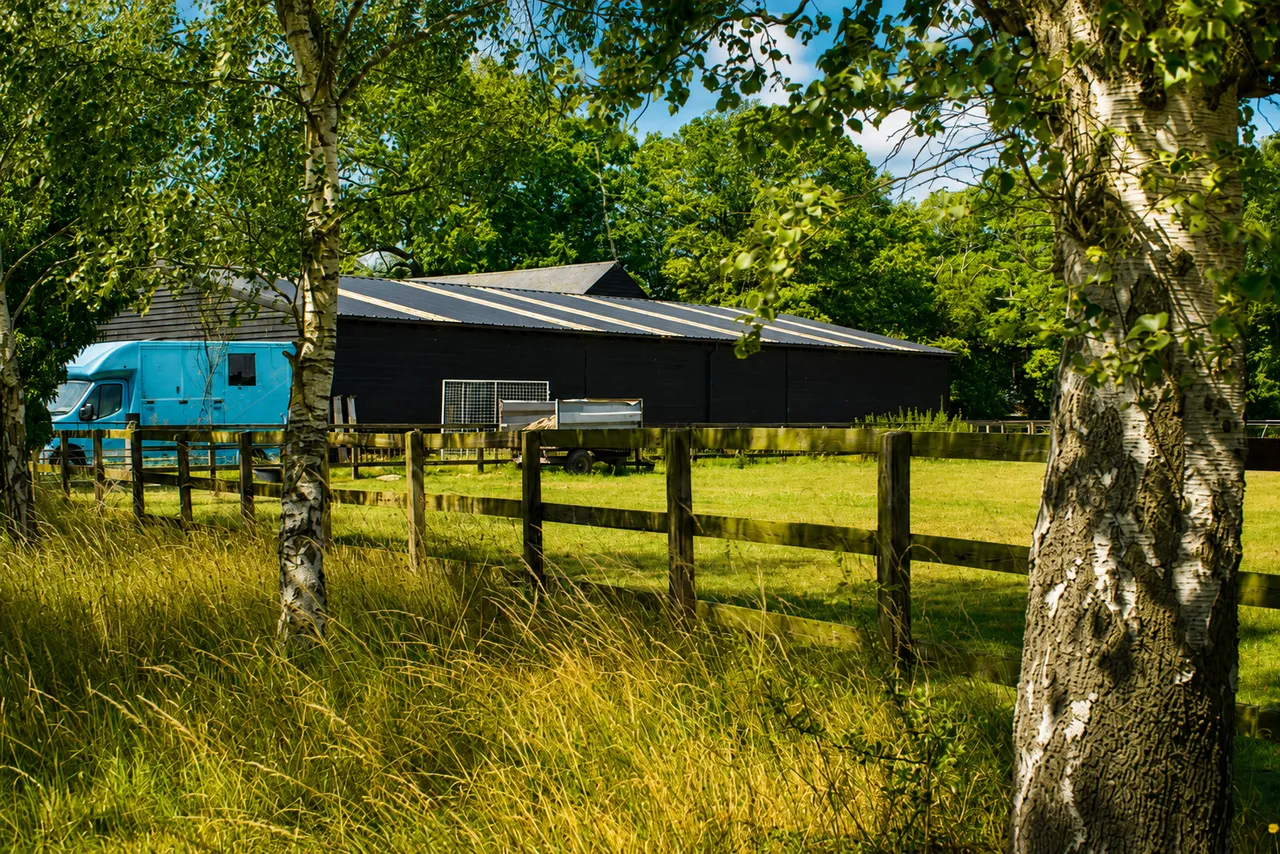 Bicknacre Road, Danbury, CM3, photo 19