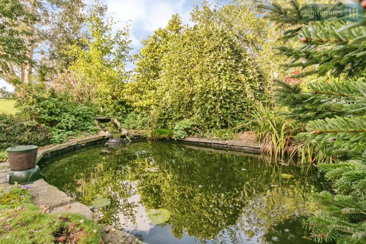 Baddiley, Nantwich, CW5, photo 37